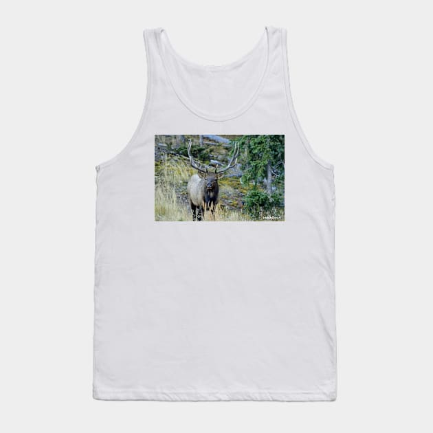 Elk Rut Tank Top by Leslie Pino Durant